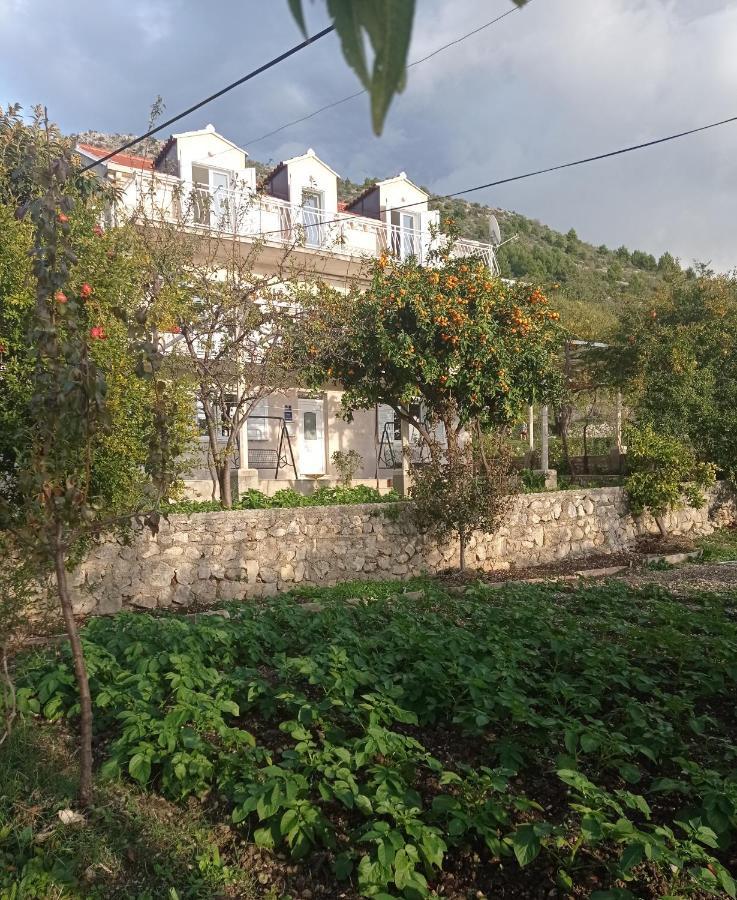Apartment Lucija With Sea View Ντουμπρόβνικ Εξωτερικό φωτογραφία