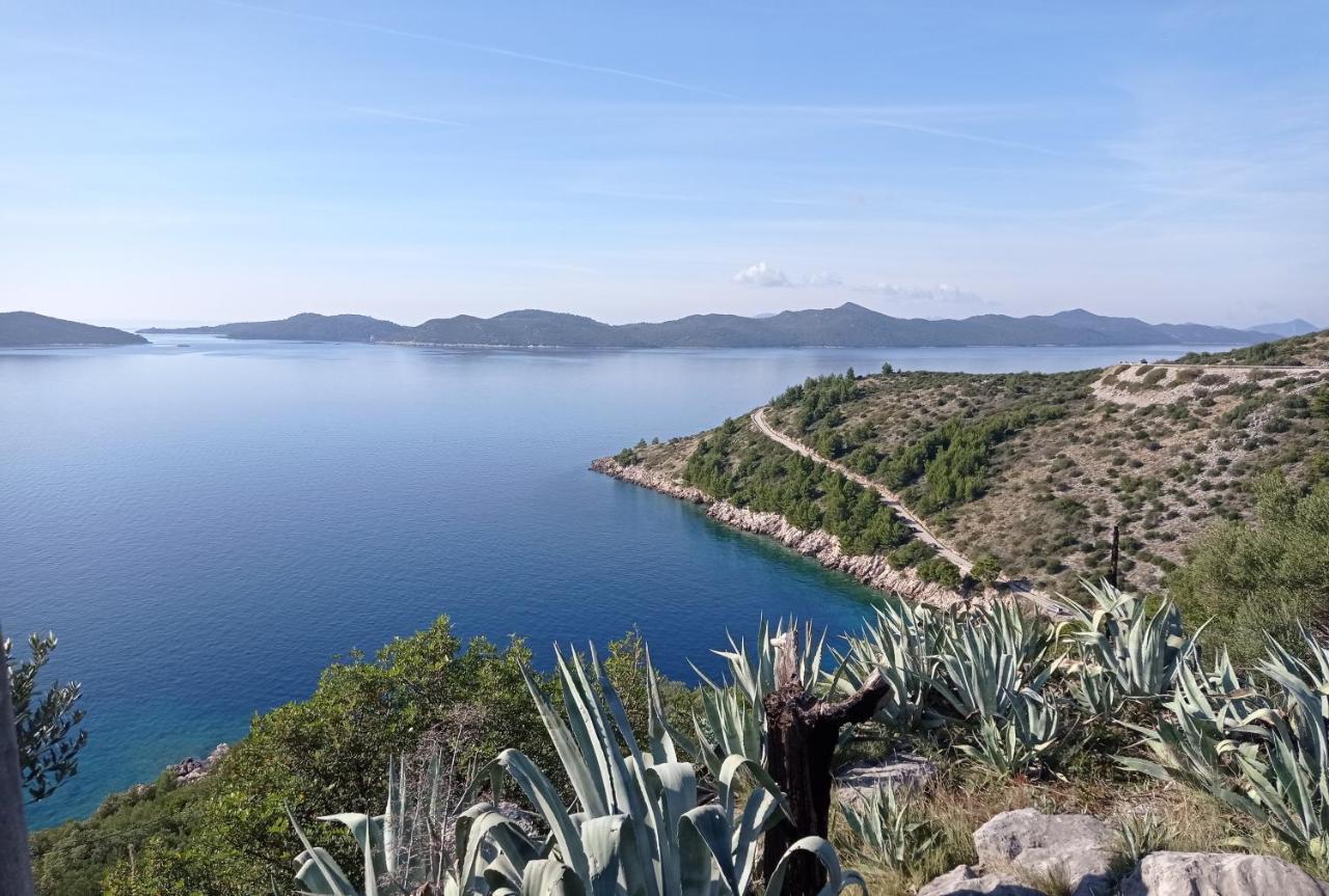 Apartment Lucija With Sea View Ντουμπρόβνικ Εξωτερικό φωτογραφία