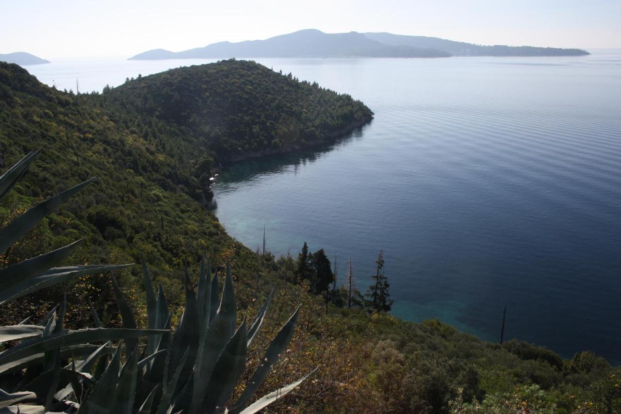 Apartment Lucija With Sea View Ντουμπρόβνικ Εξωτερικό φωτογραφία